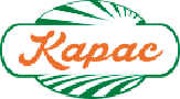 Kapak